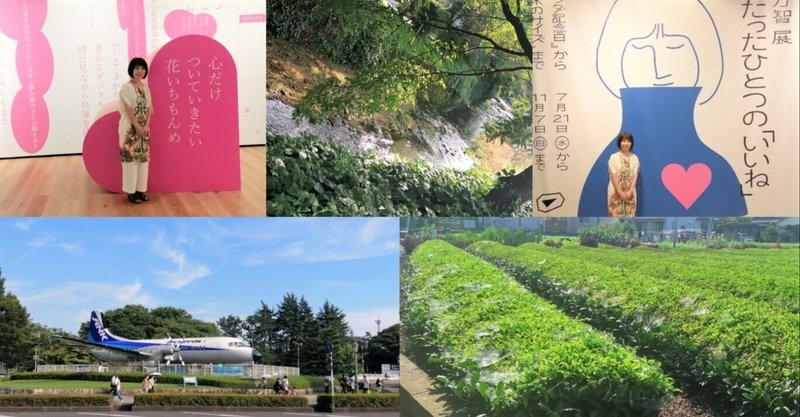 俵万智展の言葉の森から所沢航空記念公園まで散歩 東川添いに 武蔵野の原風景と子供時代の記憶が交錯する アートでハッピー Note 俵万智展の言葉の森から所沢航空記念公園まで散歩 東川添いに 武蔵野の原風景と子供時代の記憶が交錯する アートでハッピー Note