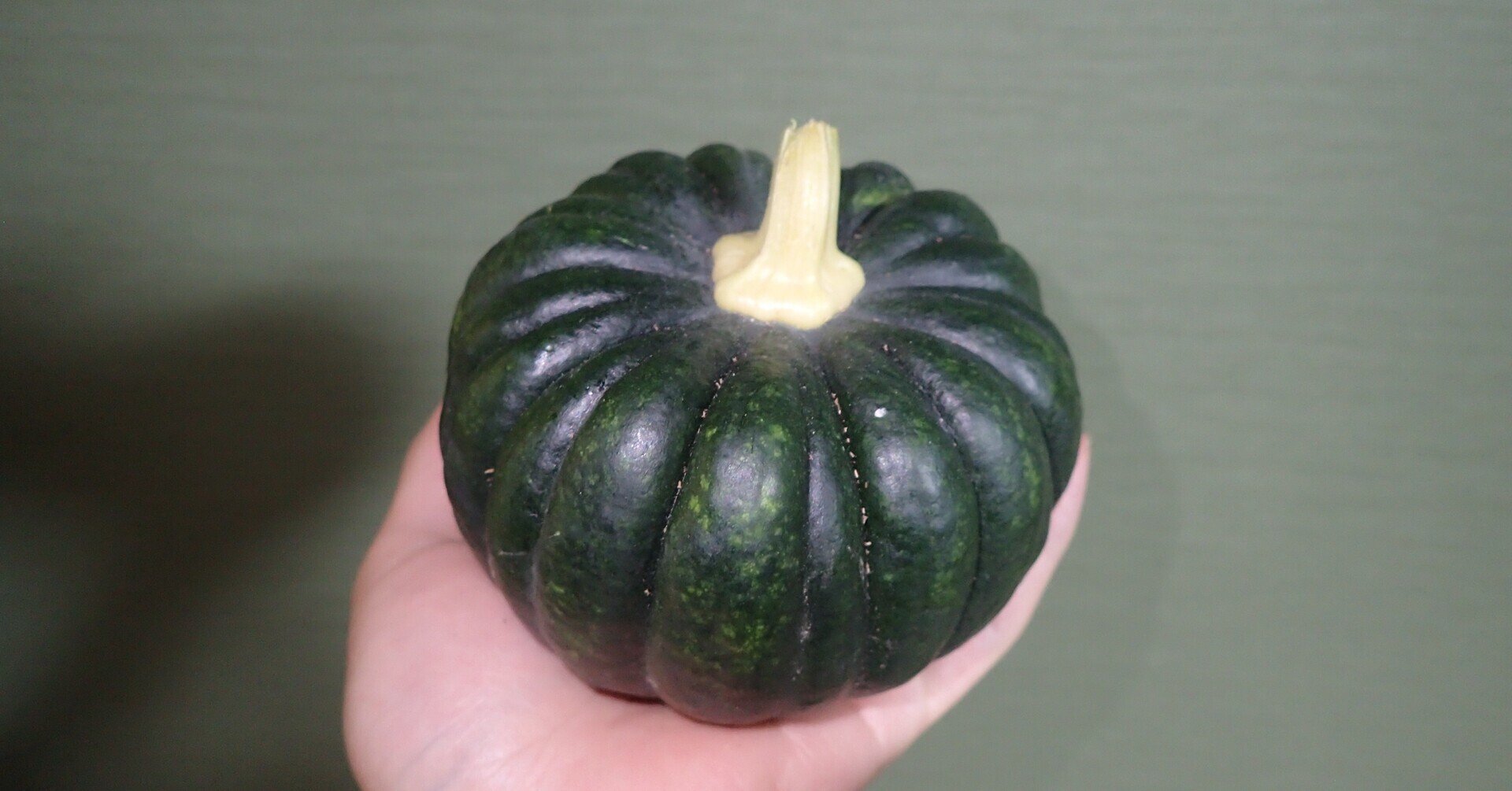 甘さ控えめ 和食向きのカボチャ 小菊 が収穫できました みっちー くらどに屋 Note