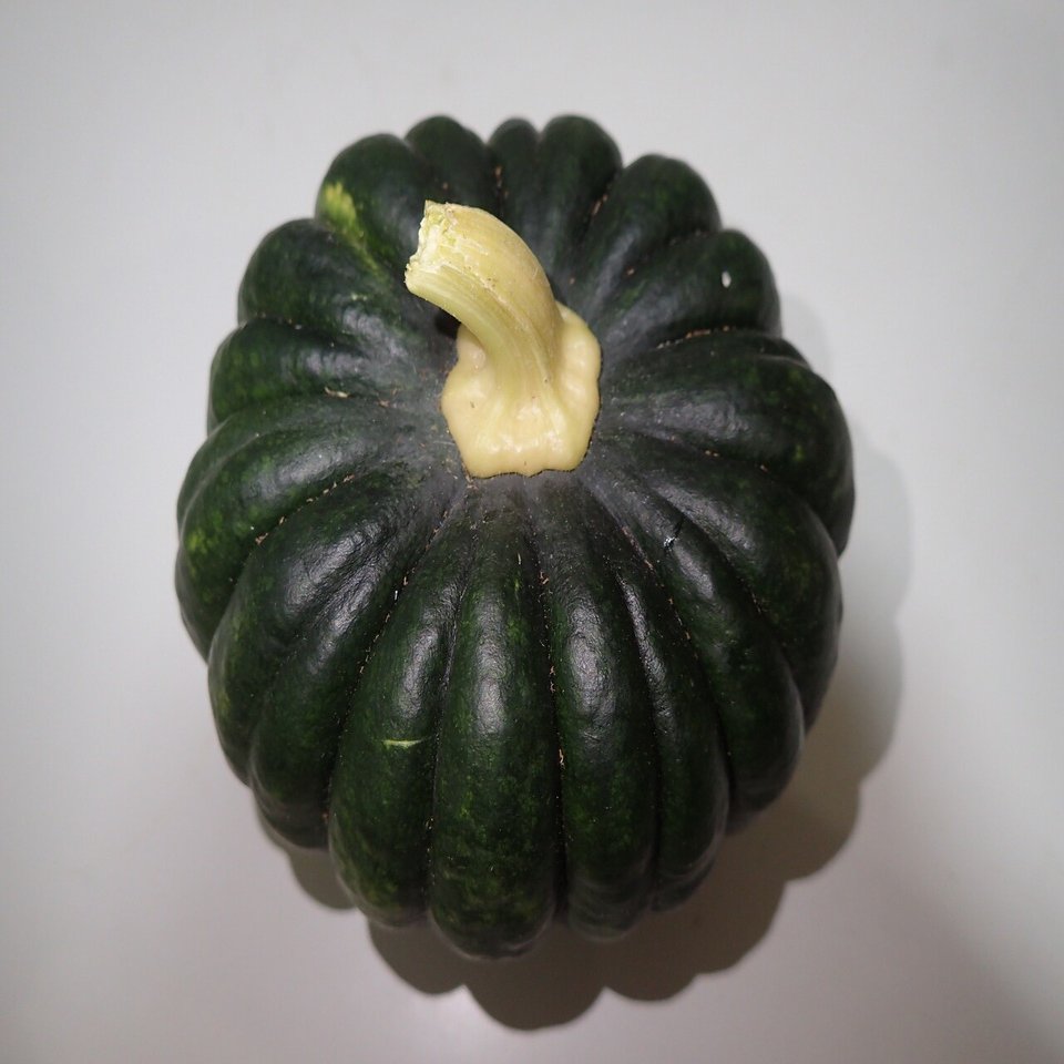 甘さ控えめ 和食向きのカボチャ 小菊 が収穫できました みっちー くらどに屋 Note