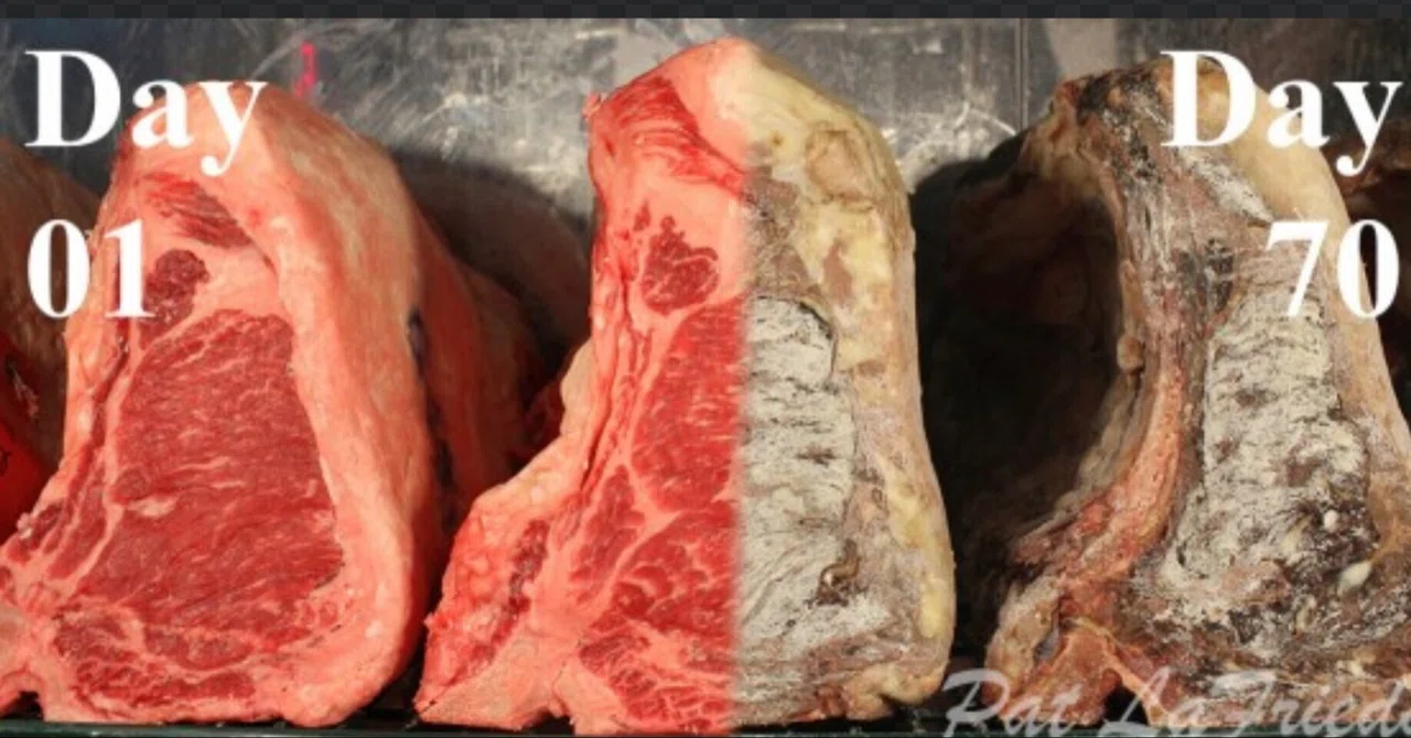 発酵と腐敗・・あんた腐ったもの食べているよ。｜サーベル