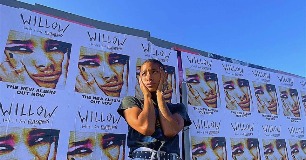 【未開封】Willow Smith ウィロースミス　レコード　MINT VF0223_Willow_Smith_5-