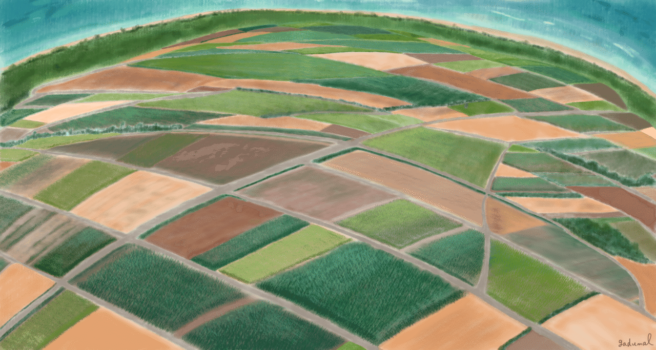 サトウキビ畑の絵 完成しました ガジュマル Note サトウキビ畑の絵 完成しました ガジュマル Note