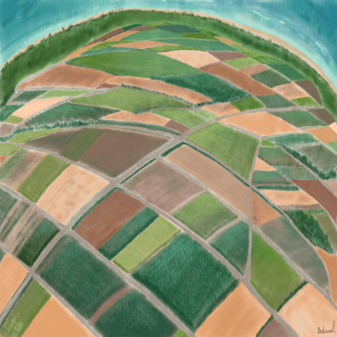 サトウキビ畑の絵】完成しました！｜ガジュマル