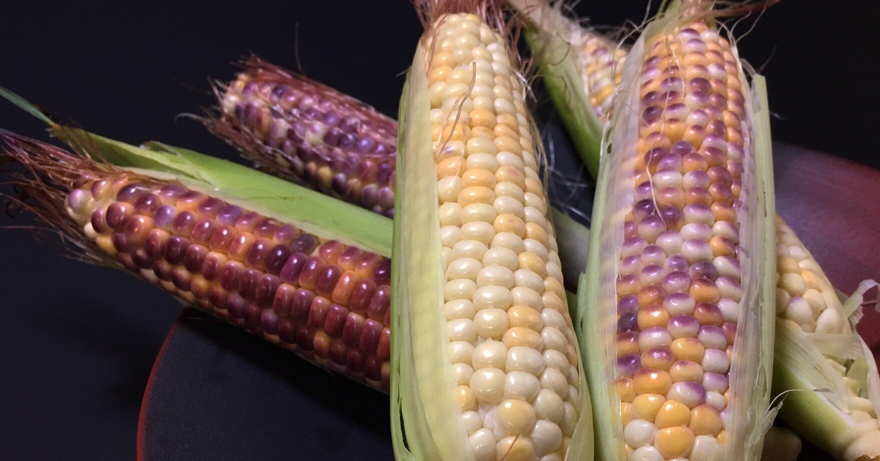 もちとうきび すべてはいつか 笑うため Hizensaga Sumiya Note