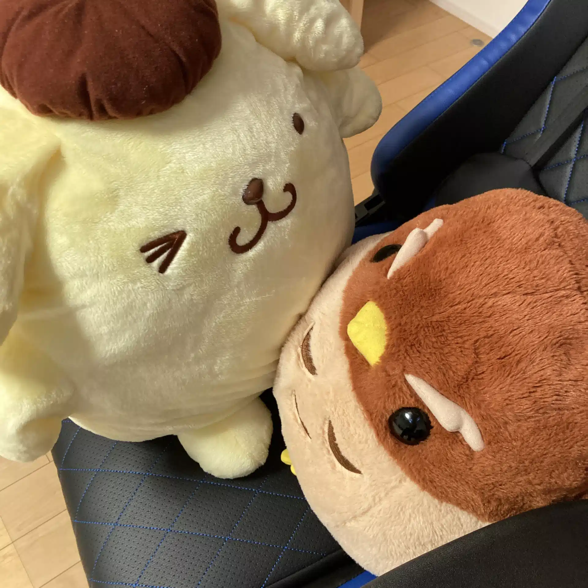 nao