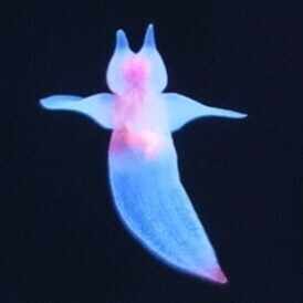 女勇-JOYU- project 寫眞展 Ⅱに行きました｜土屋