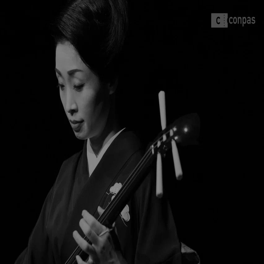 こうの紫 三味線リサイタルで魅せた和の模様｜コンパス | コンサートの