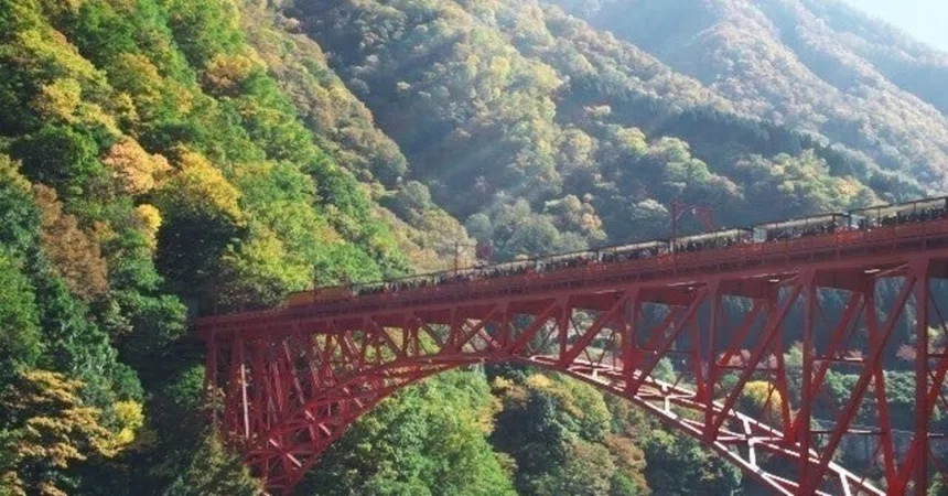 Problem And Solution Types An Alternative Solution to the Trolley Problem|FUJI YO