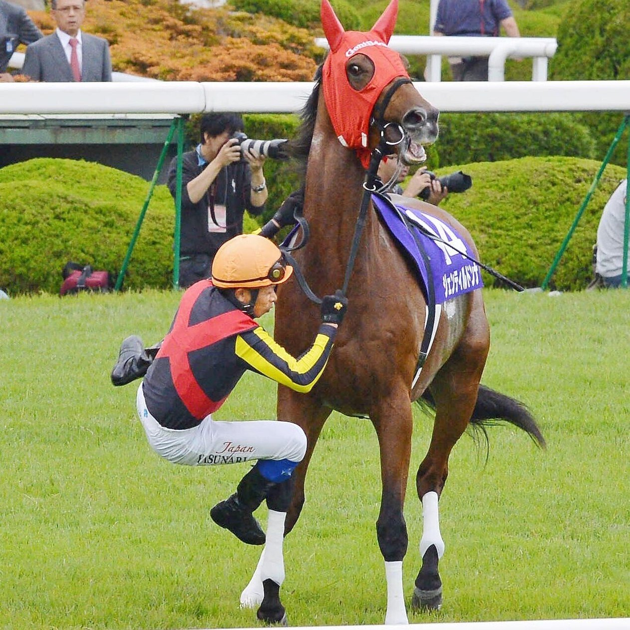 ウマ娘 で人気のエイシンフラッシュとゴルシが大活躍 ２０１２年の競馬を 東スポ で振り返る五輪特別企画 東スポnote