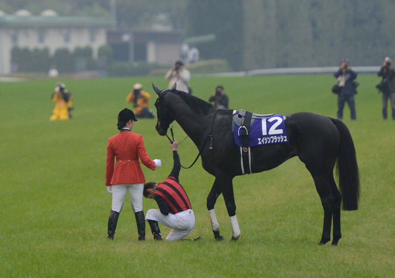 ウマ娘」で人気のエイシンフラッシュとゴルシが大活躍！2012年の