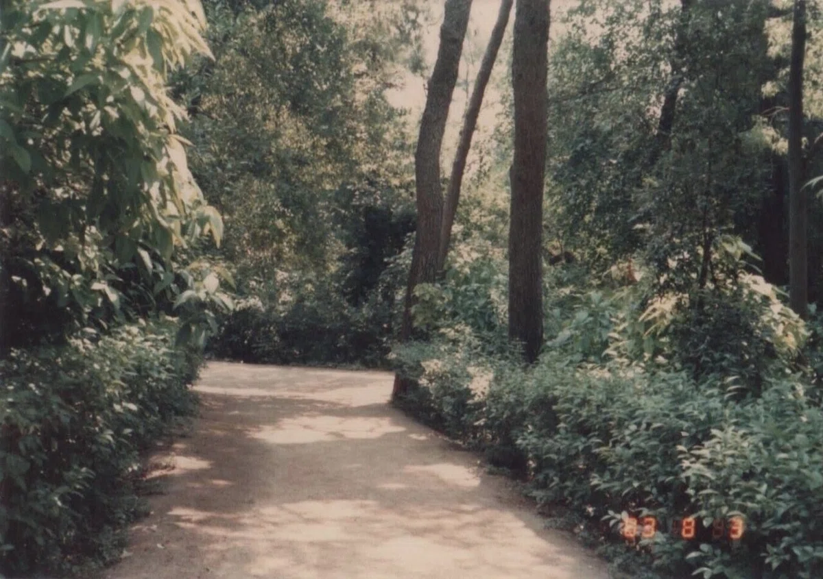 画像11