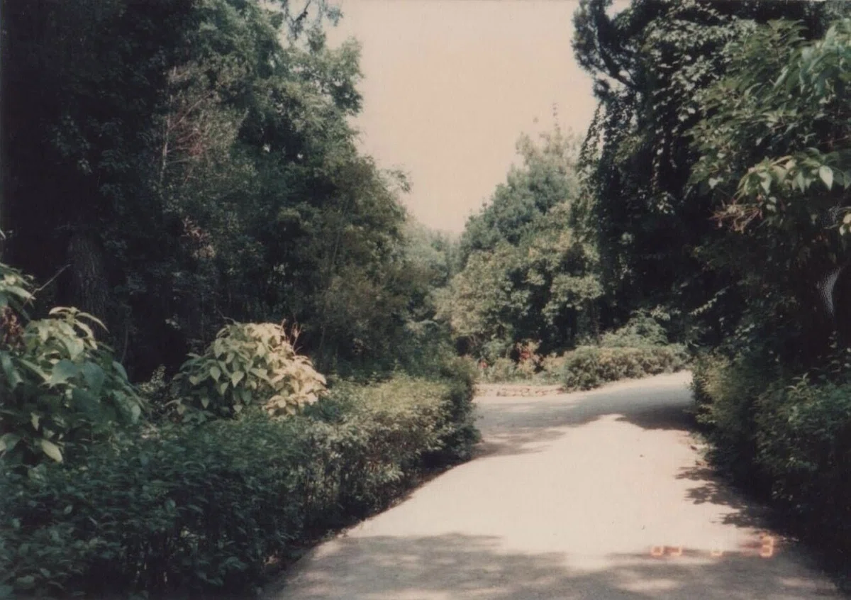 画像12
