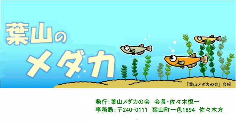 めだか の新着タグ記事一覧 Note つくる つながる とどける めだか の新着タグ記事一覧 Note つくる つながる とどける
