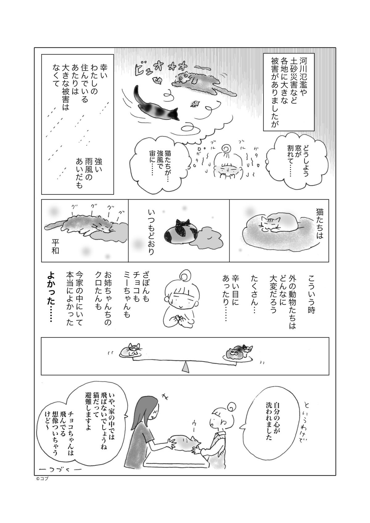 ざーちょこみー50の2