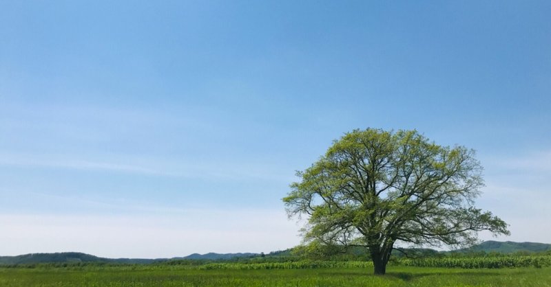 十勝への引越しと、浦幌への旅と、未来について。