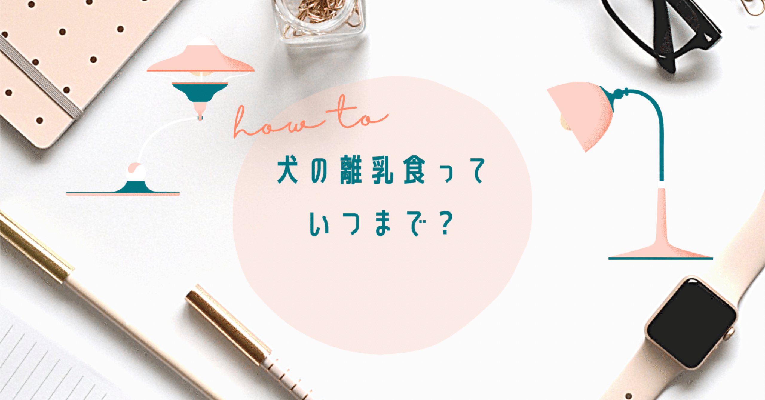 犬の離乳食っていつまで Nami Note 犬の離乳食っていつまで Nami Note