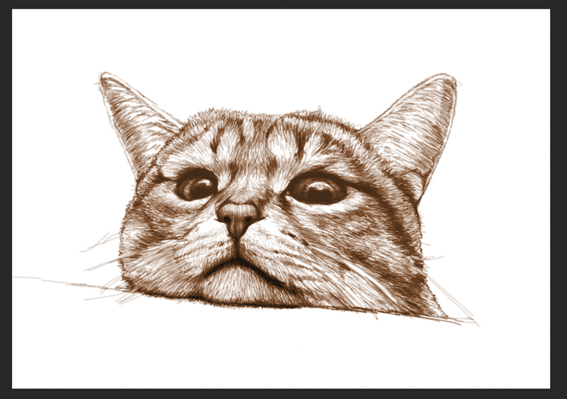 スクリーンショット 2021-08-02 12.57.40