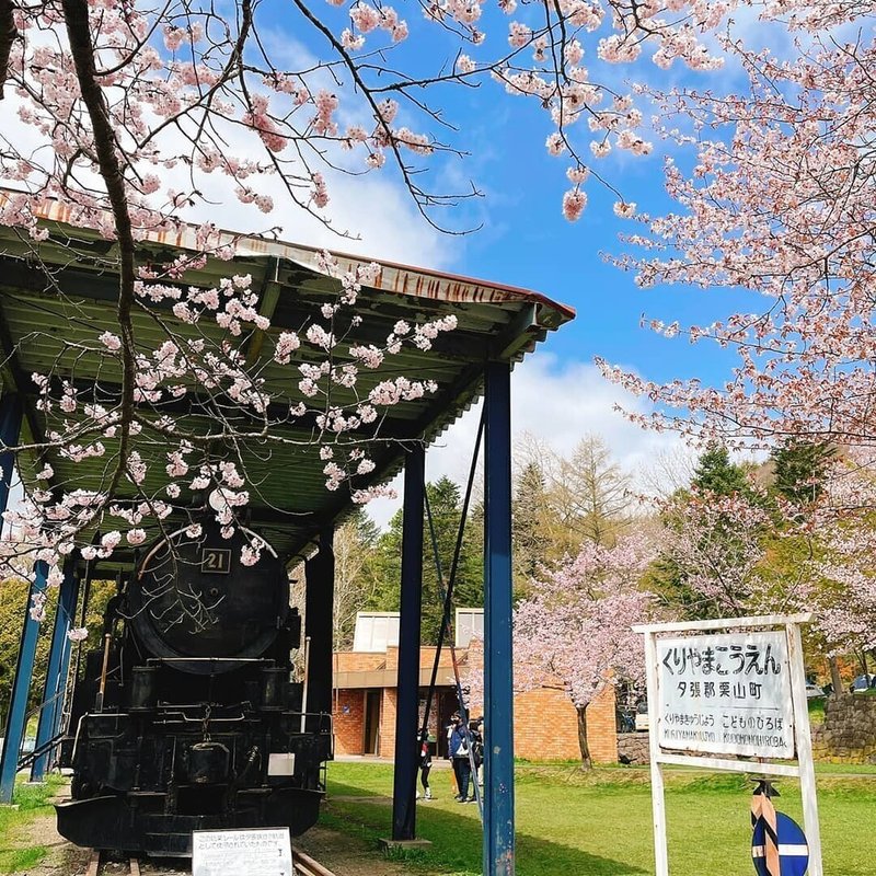 特別賞　172.SLと桜（栗山公園）kzz_travel