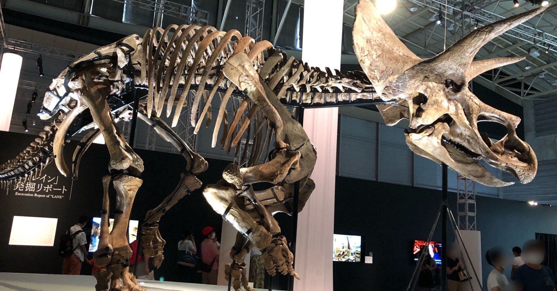 【匿名配送】恐竜科学博 ララミディア大陸の恐竜物語 グッズ | DinoScience 恐竜科学博 ～ララミディア大陸の恐竜物語