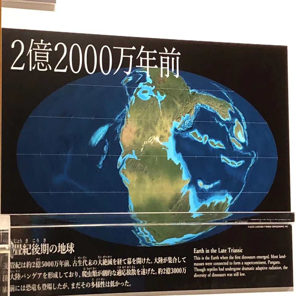 ララミディア大陸の恐竜物語｜おちらしさんWEB（ネビュラ 