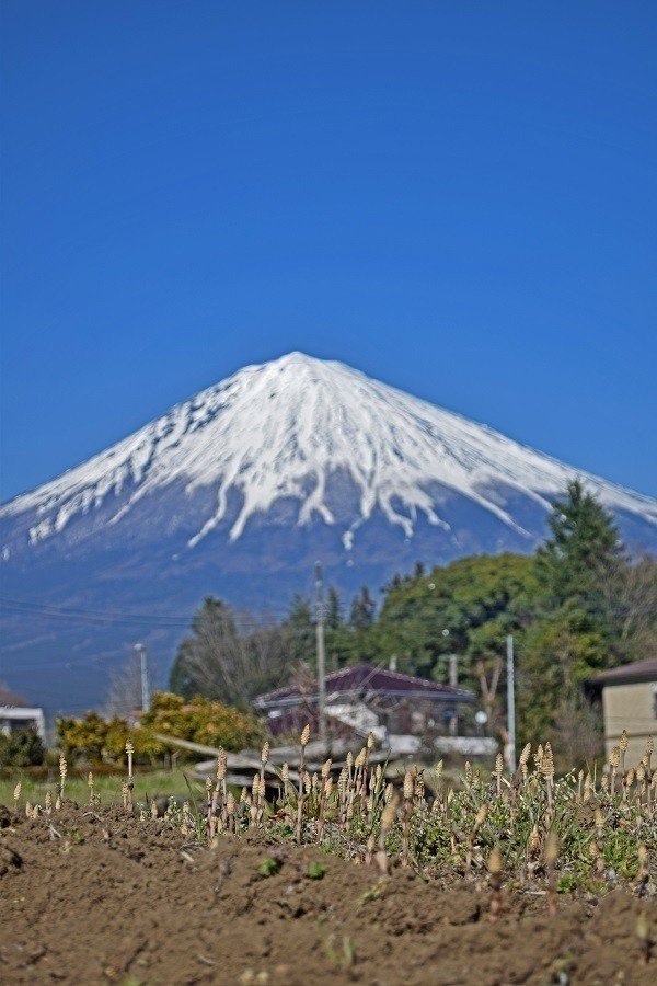 富士山の標高3776メートル、ってのは剣ヶ峰のもの、ということで剣ヶ峰が目立つ位置で。