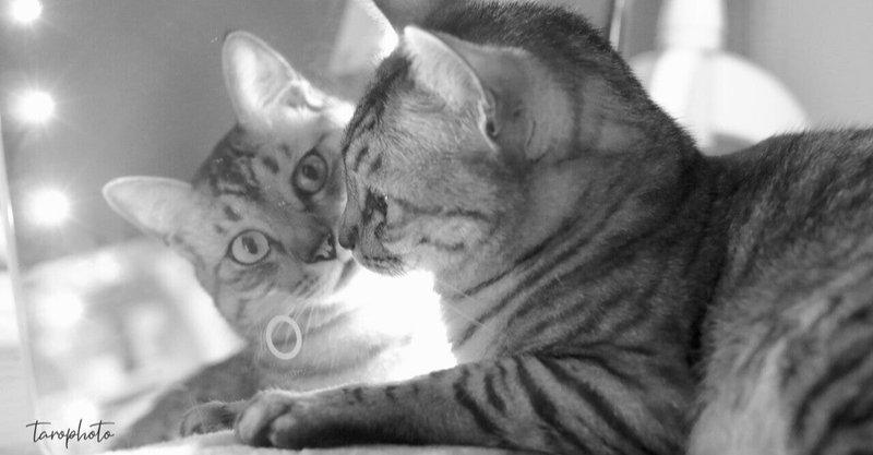 自分のしたことが返ってくるブーメランの法則 西山奈美 Note