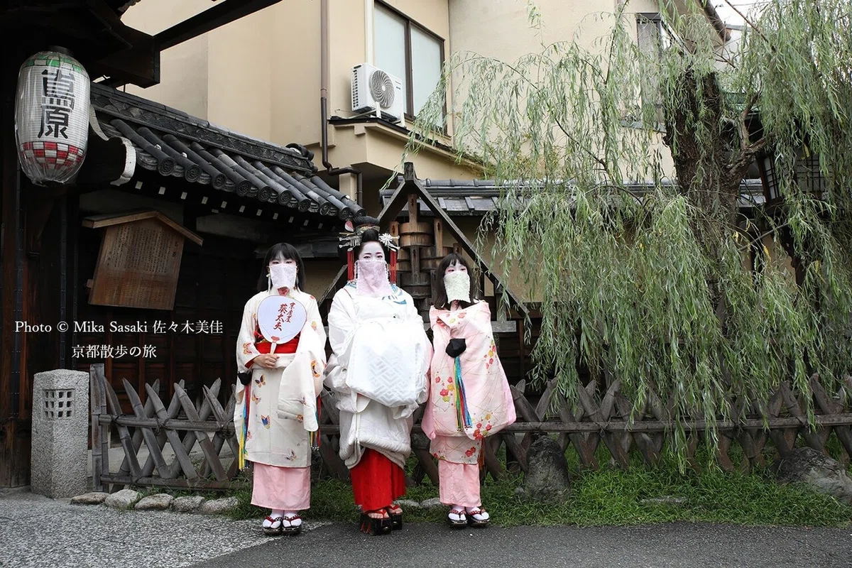画像8