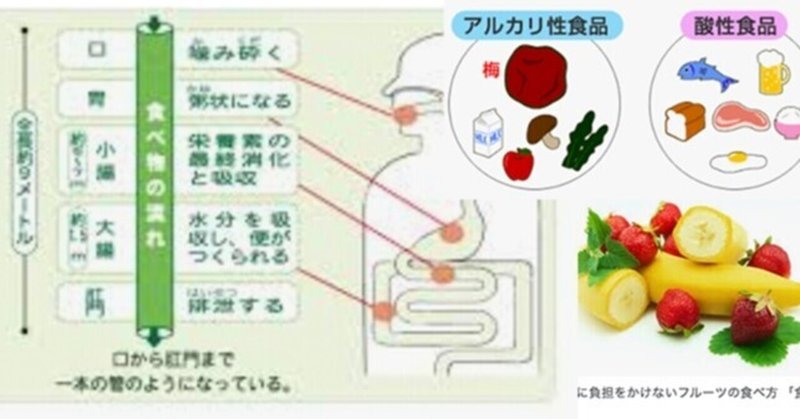 アルカリ性食品一覧 アルカリ性食品一覧