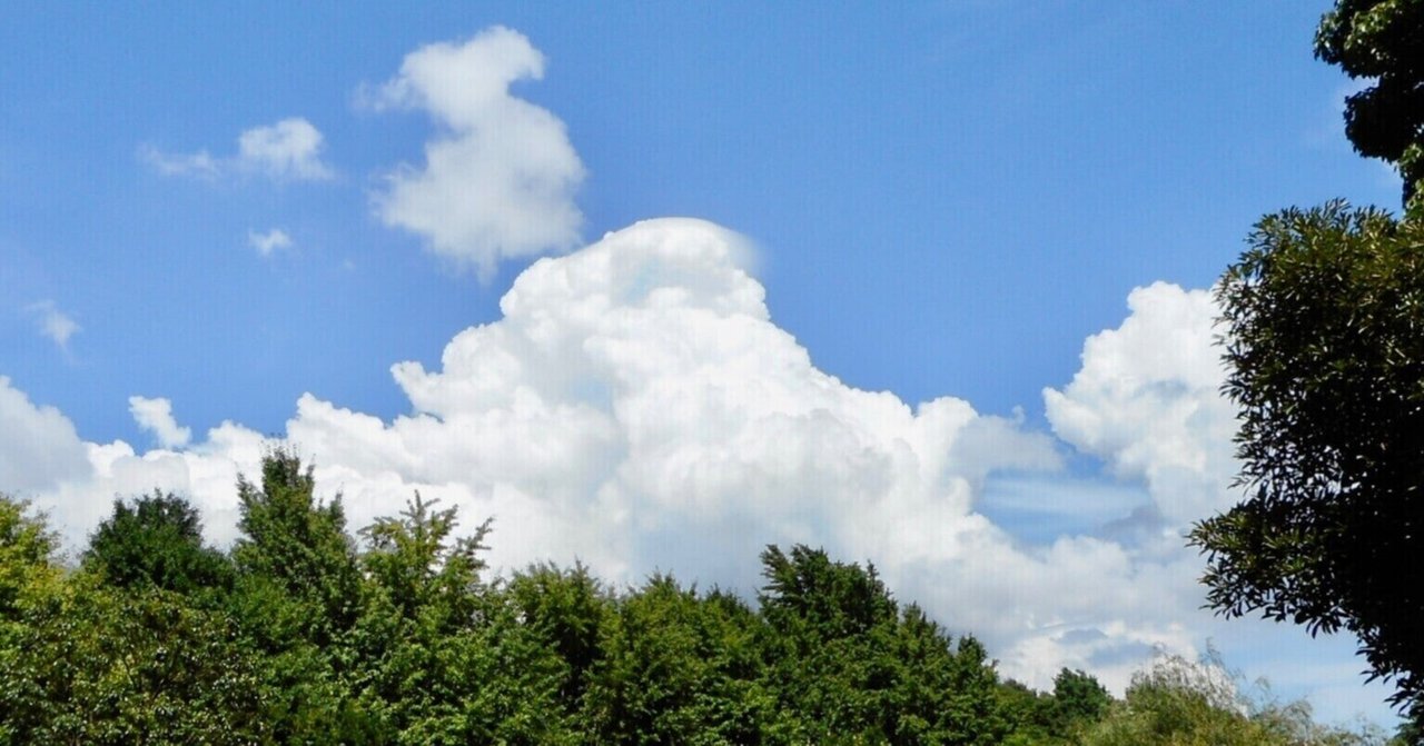 あるエンジニアの転職活動振り返り