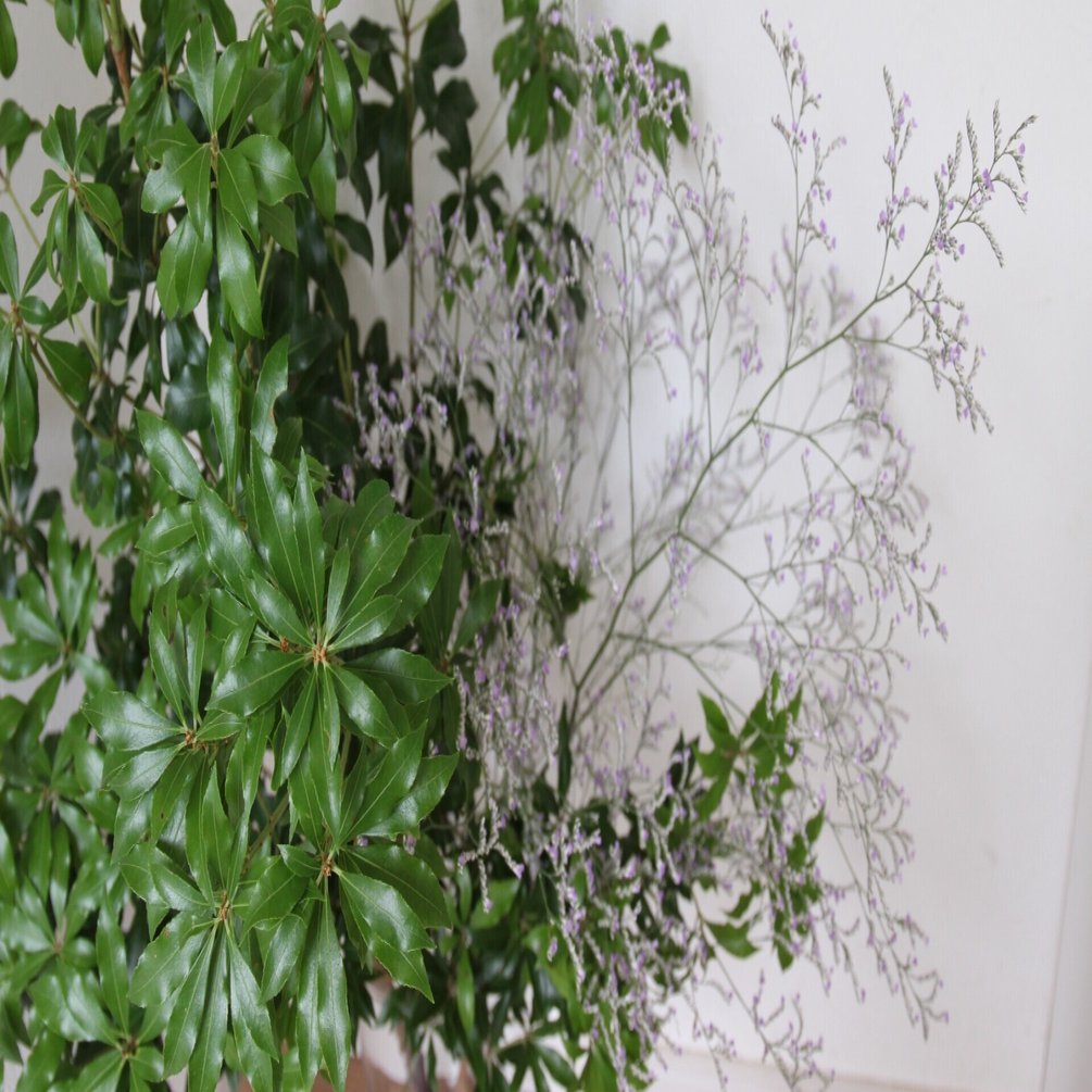 はながすきすぎる 川越市内枝配達 花屋konoha Note