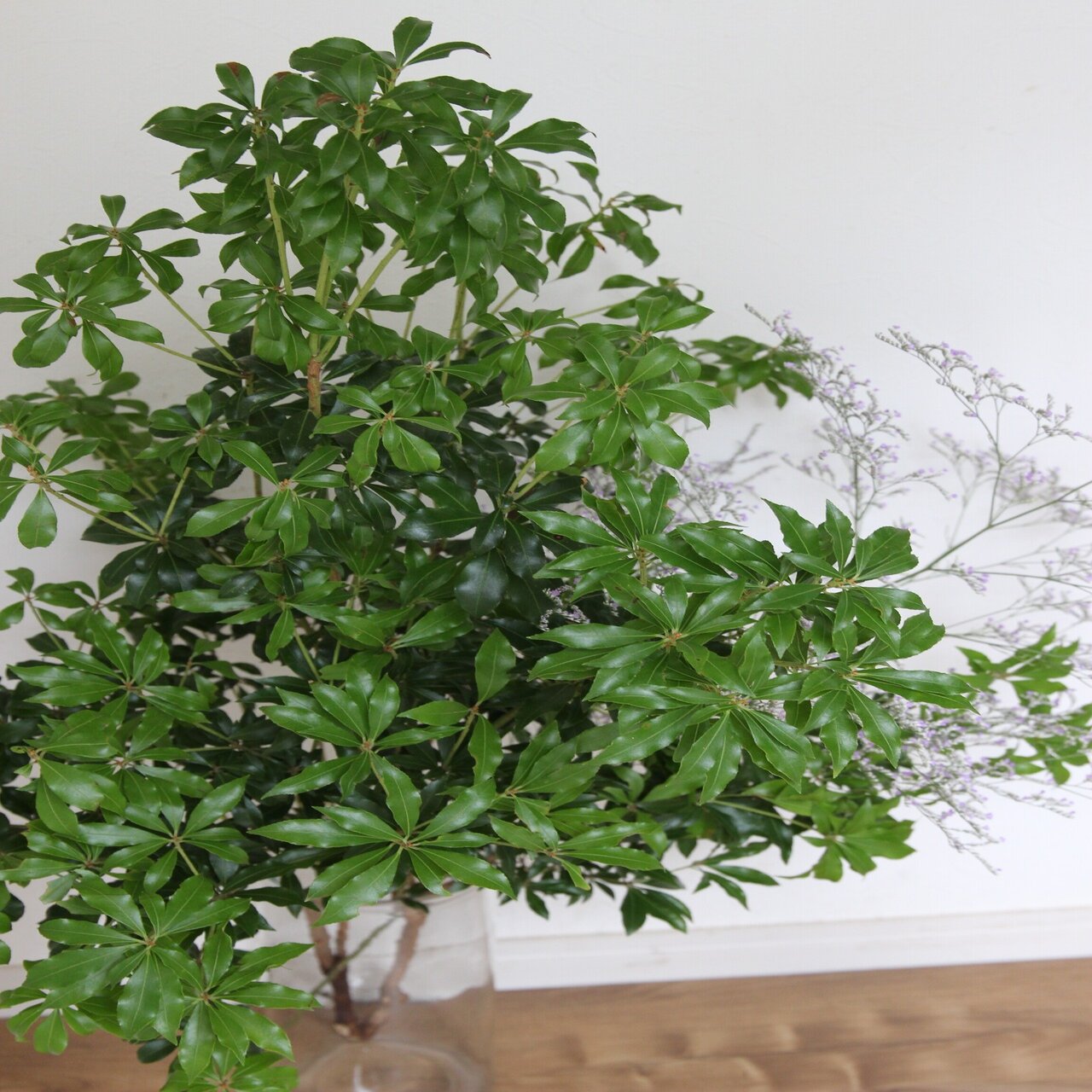 はながすきすぎる 川越市内枝配達 花屋konoha Note