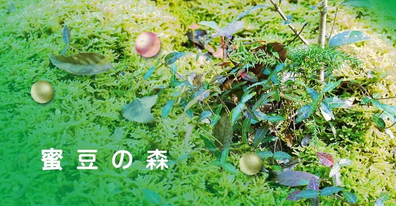 『蜜豆の森』～コトリノ.１ / ショートストーリー