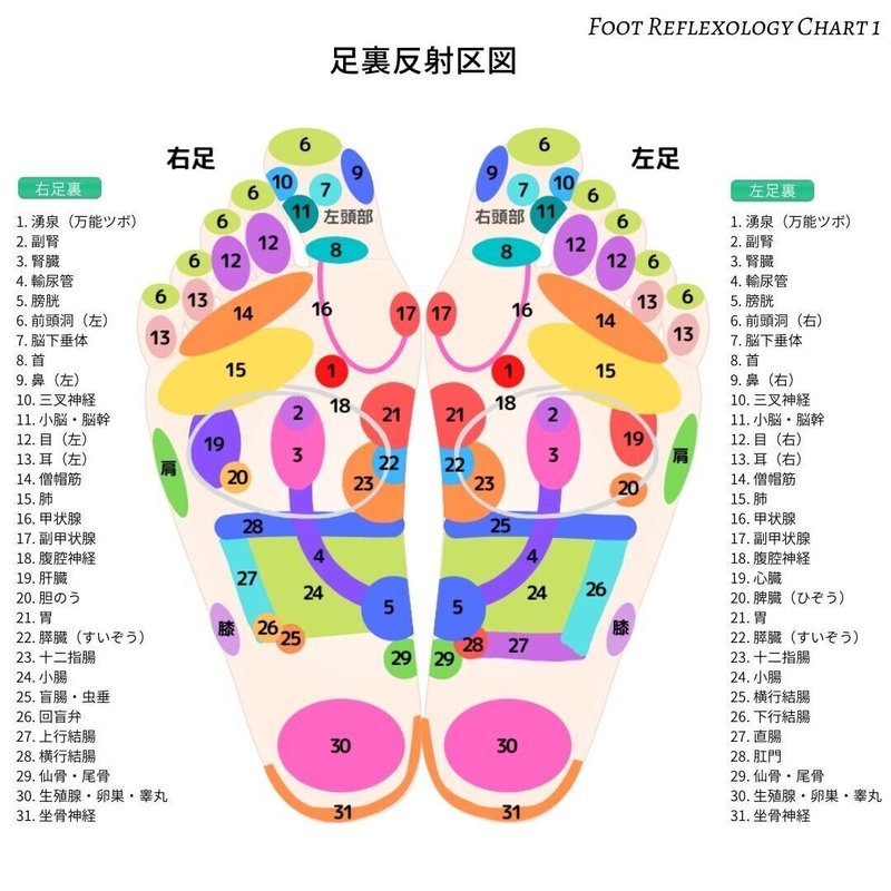 放送大学 リフレクソロジー 英国式 台湾式 るう Note