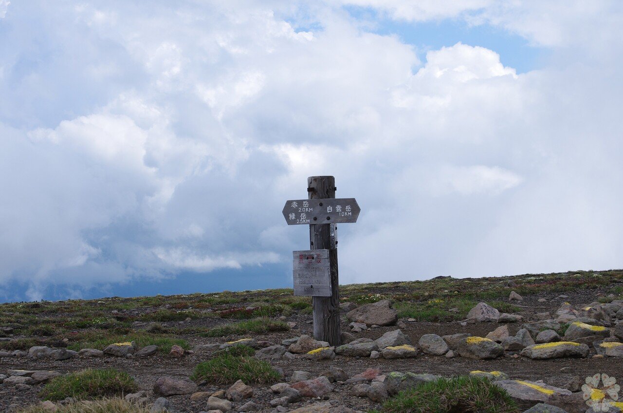 規制前採集品　ウスバキチョウ北海道大雪山　北海岳 大雪山のウスバキチョウ | 北海道地方環境事務所 | 環境省