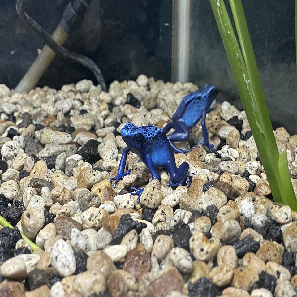 松島水族館は不思議な生き物がいっぱい｜Noriaki Kawanishi