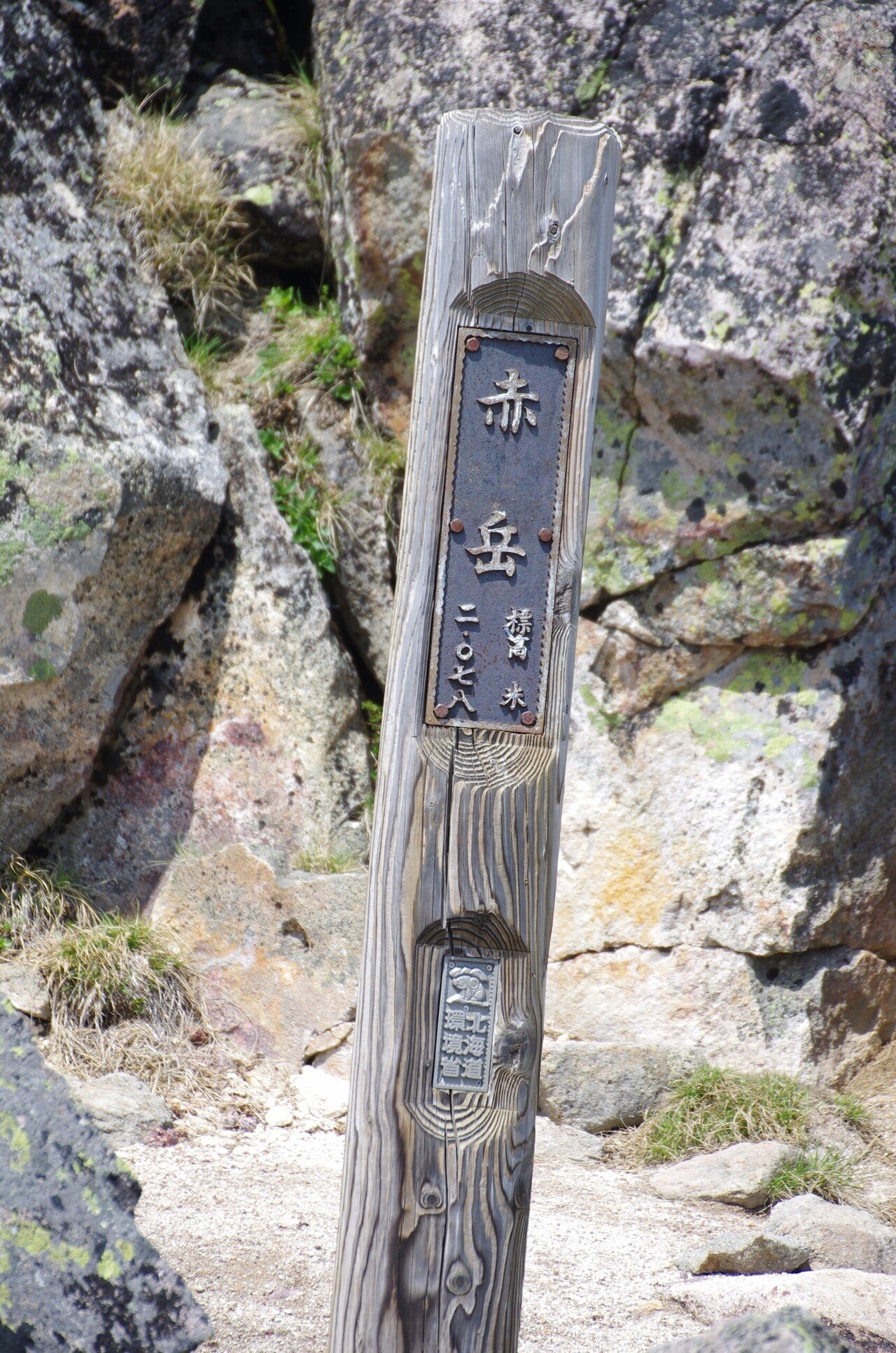 🦋: ウスバキチョウ::天然記念物・大雪山｜キータン🦋写真とAIで