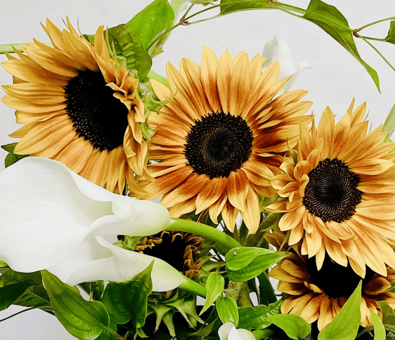 8月の誕生月花 ひまわりのブーケ 香林こうりん Note