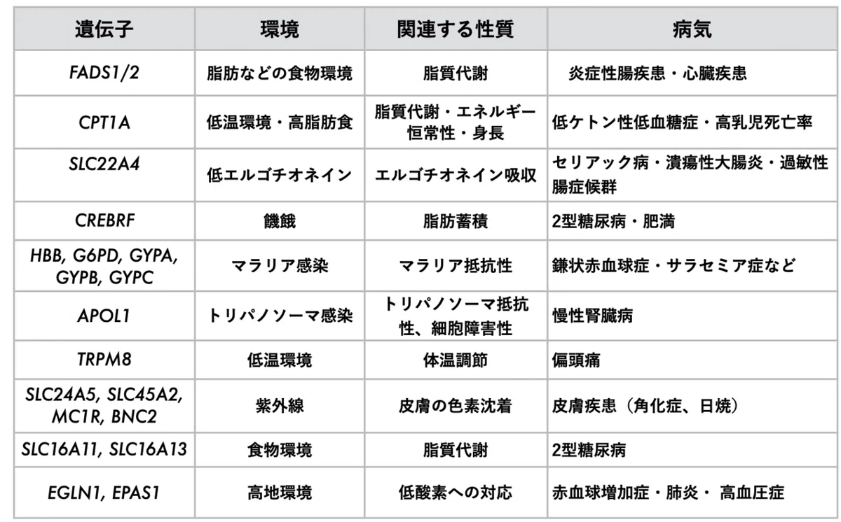 スクリーンショット 2021-08-04 9.45.10
