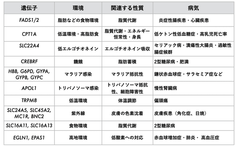 スクリーンショット 2021-08-04 9.45.10