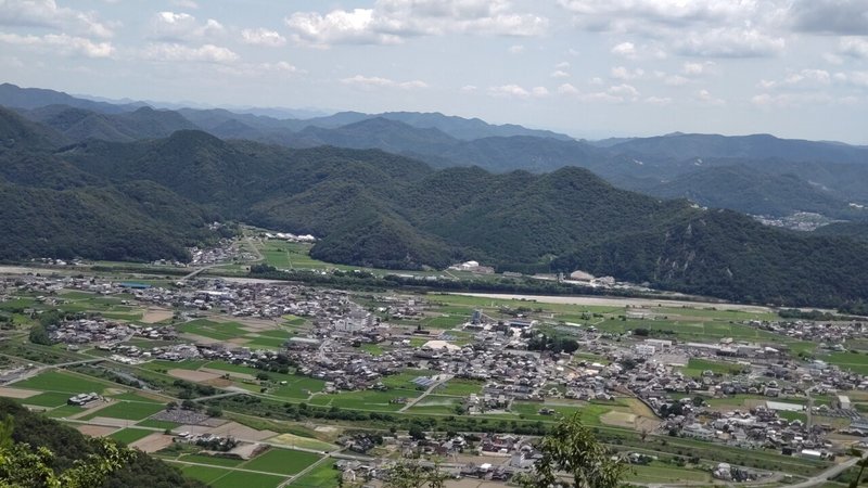 カキツ_風景