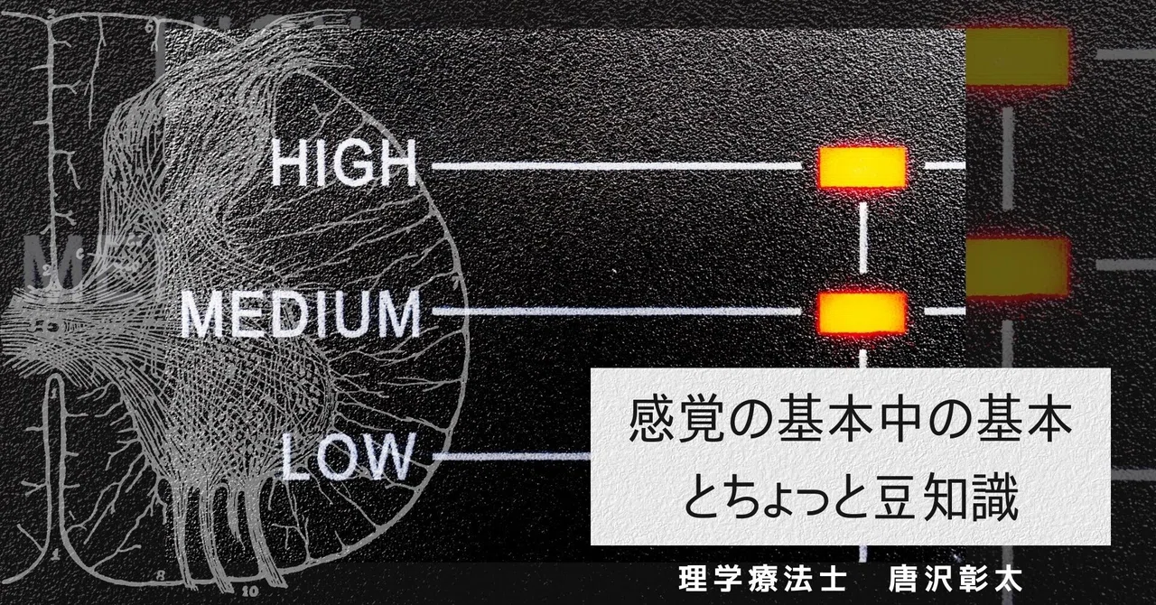 感覚の基本中の基礎とちょっと豆知識｜ろじりはブログ_note