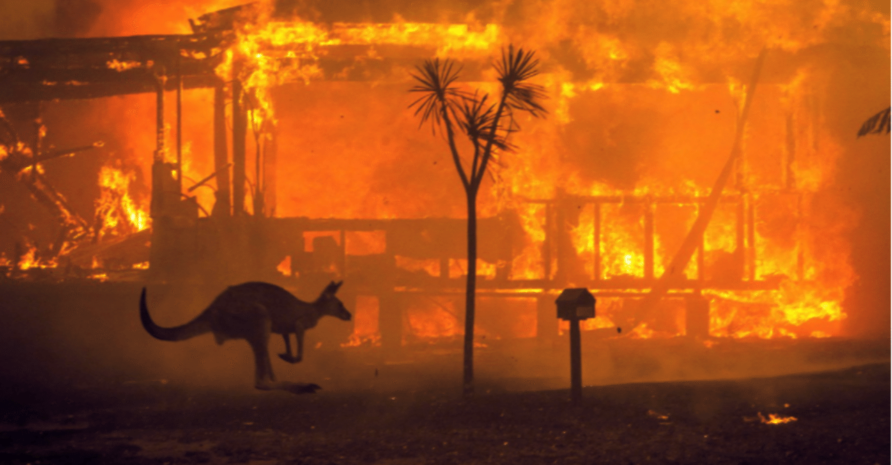 最悪のオーストラリア森林火災の取材中に考えた気候変動の怖さ 蟹瀬誠一 Note