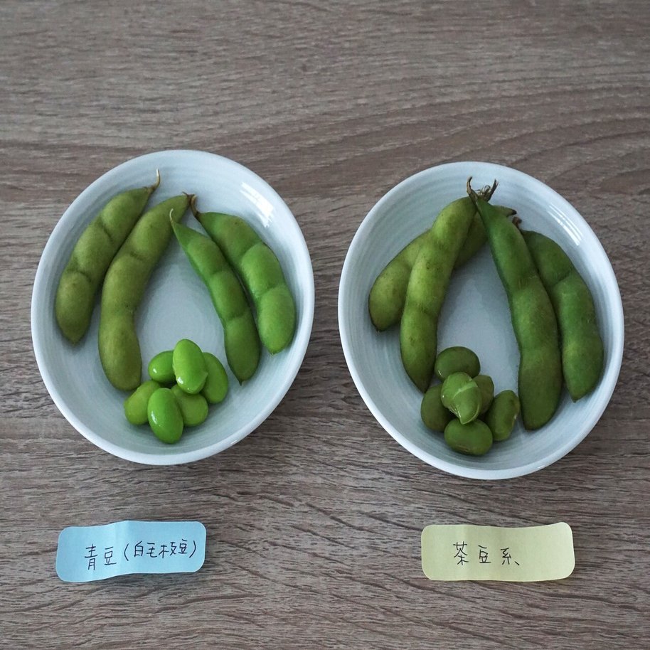 夏は枝豆 秋もエダマメ えだまめ とことん味わい尽くそう Ja全農 広報部 公式 Note