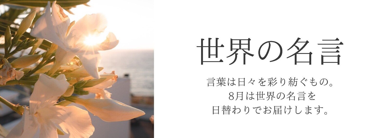 世界の名言 一日一名言 Monique Note