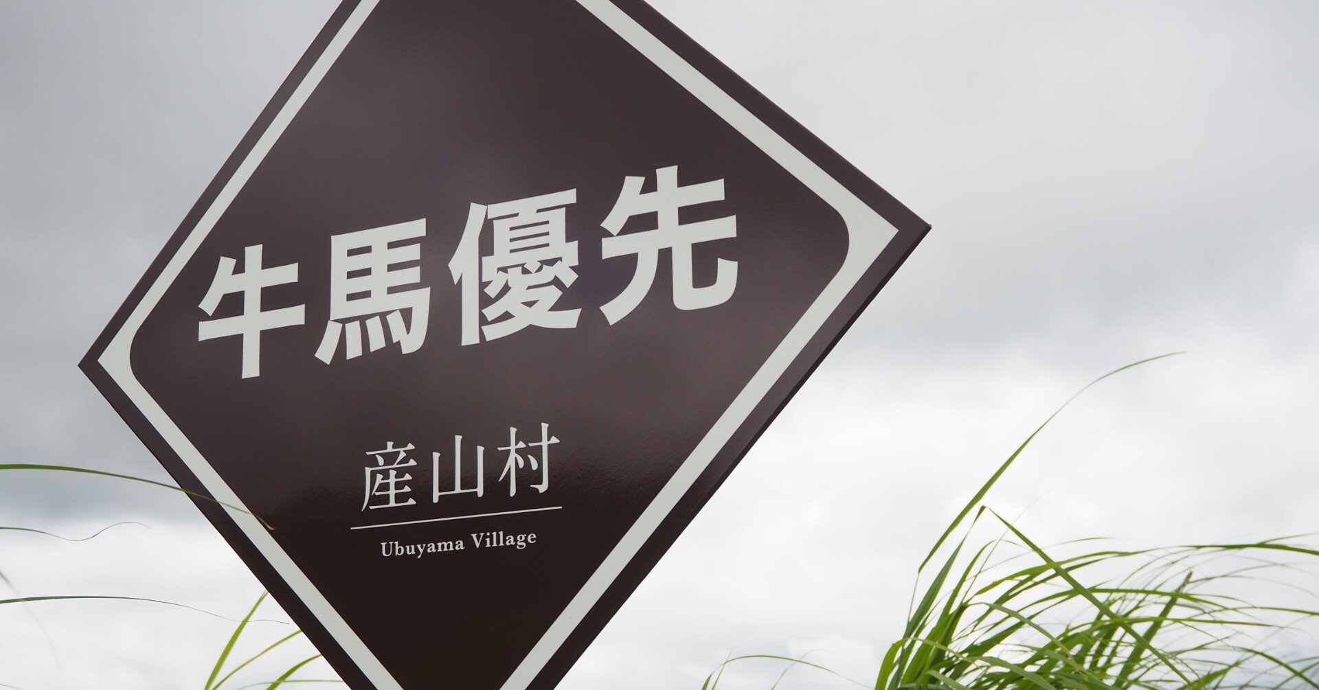 54b6666de0d2c2b2af304b73fe3403