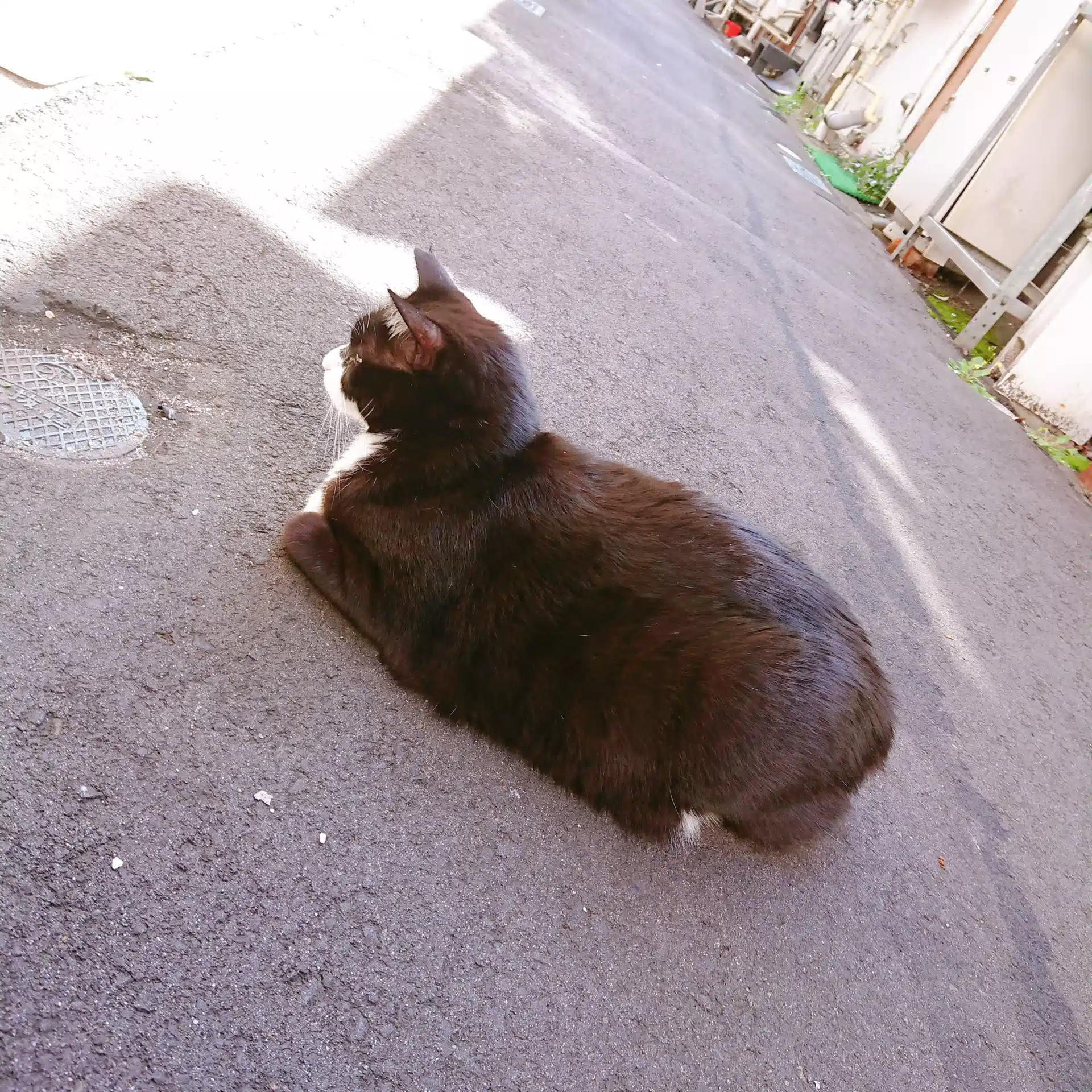 Sky