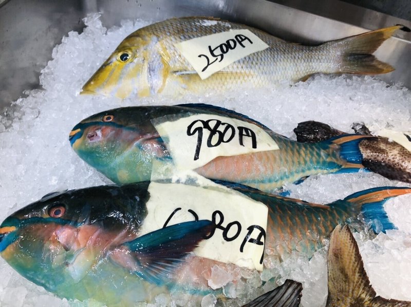沖縄の近海魚たち すいの Happyjoy Note