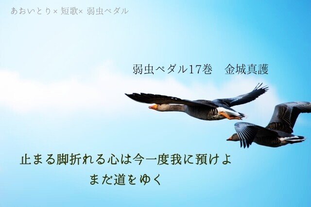 短歌 弱虫ペダル17巻 マユミ Note 短歌 弱虫ペダル17巻 マユミ Note