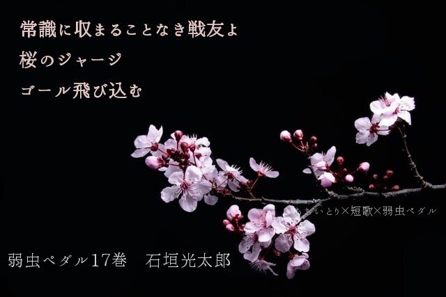 短歌 弱虫ペダル17巻 マユミ Note 短歌 弱虫ペダル17巻 マユミ Note