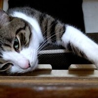 故三浦春馬さん 11年前のtv番組でサプライズ成功もまさか 小鉄 Note